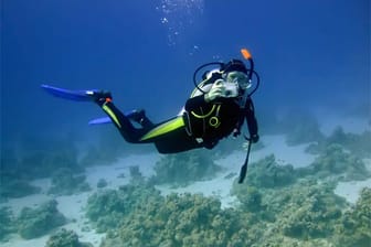 Tipps für Unterwasserfotografie