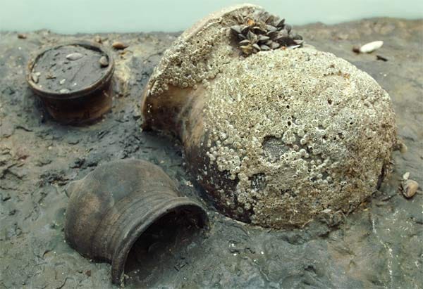Funde im deutschen Wattenmeer: Sie stammen vermutlich von der versunkenen Siedlung Rungholt.