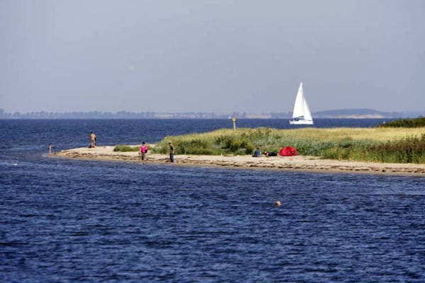 Der nördliche Greifswalder Bodden gehört zum Biosphärenreservat Südost-Rügen.