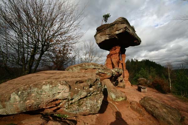 Platz 8: Der pilzförmige, 14 Meter hohe Teufelstisch steht im Naturpark Pfälzer Wald.