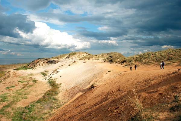 Platz 22: Die leuchtend orangenen Teile des Morsum-Kliffs auf Sylt sind Ablagerungen, die sich vor etwa 12 bis 2 Millionen Jahren ansammelten.