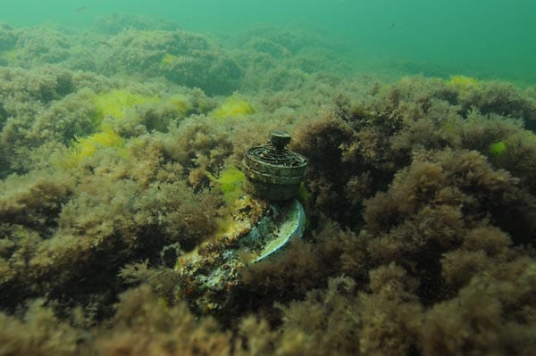 Forscher haben nun die Überreste des Wracks in der Ostsee entdeckt...