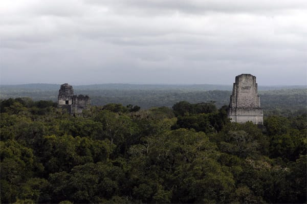Die antike Maya-Stadt Tikal liegt in den Regenwäldern des Petén im Norden von Guatemala. Sie ist eine der bedeutendsten und am besten erforschten Städte der Maya-Periode. Im zweiten Jahrhundert begann die städtische Entwicklung. Die Maya bauten Tempel und Paläste.