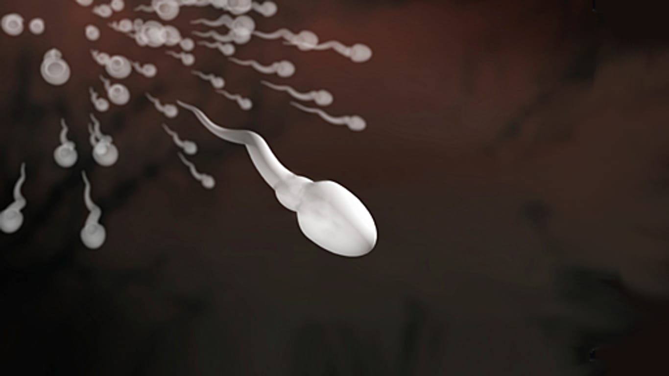 Forscher haben untersucht, welche genetischen Varianten ein Mann über sein Sperma an Nachkommen weitergibt.