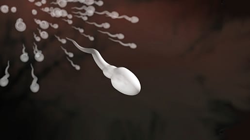 Forscher haben untersucht, welche genetischen Varianten ein Mann über sein Sperma an Nachkommen weitergibt. Forscher haben untersucht, welche genetischen Varianten ein Mann über sein Sperma an Nachkommen weitergibt.