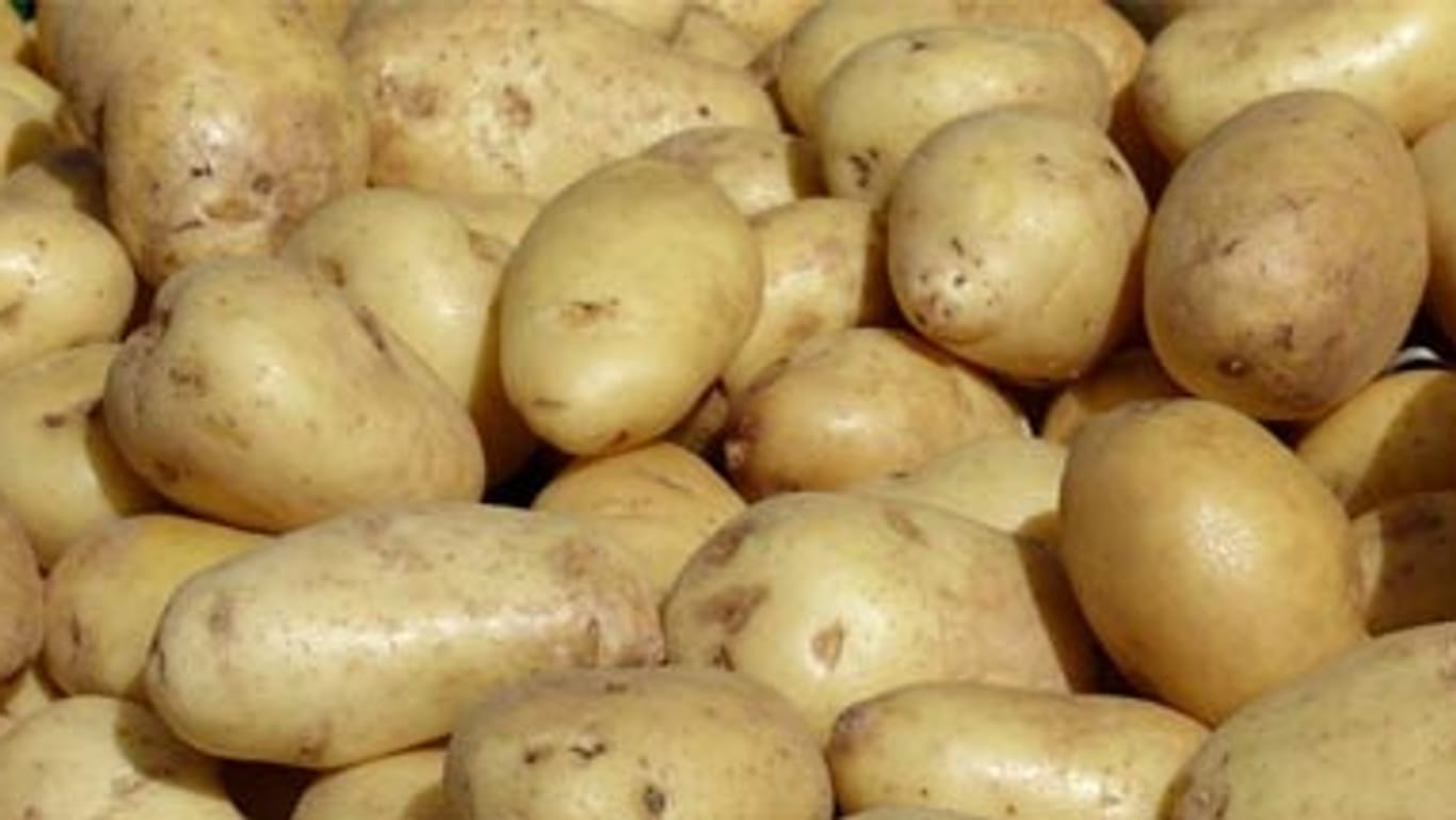 Ein halbes Kilo Kartoffeln statt Smartphone.