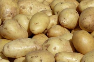 Ein halbes Kilo Kartoffeln statt Smartphone.