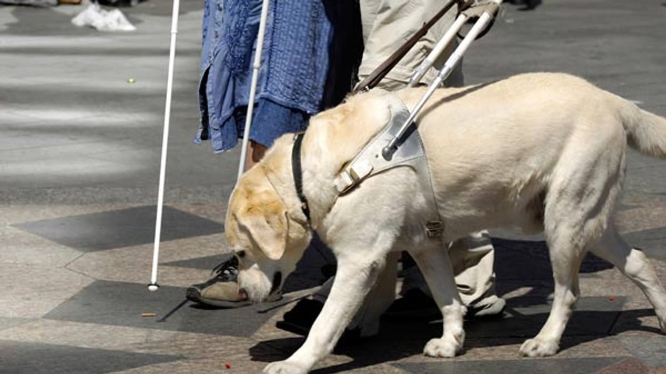 Ein Blindenhund führt einen Menschen durch die Stadt.
