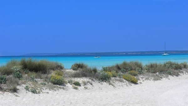 Fast an der Südspitze Mallorcas breitet sich das fünf Kilometer lange Strandjuwel Es Trenc aus. Als einer der letzten Naturstrände Mallorcas steht der Küstenstreifen zusammen mit den Dünen im Hinterland unter strengem Naturschutz. Zur Beliebtheit des Strandes trägt auch das türkisblaue und klare Wasser bei.
