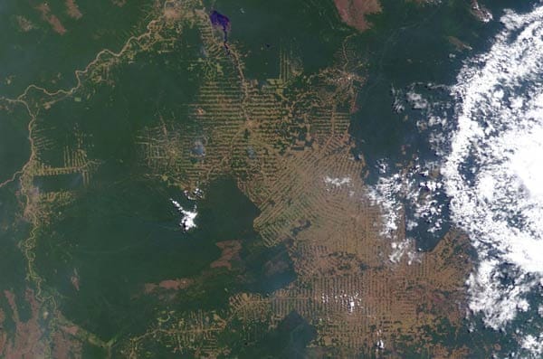 Regenwald in Brasilien: Wo die Wälder gedeihen und wo sie schwinden - auch das ist vom Erdorbit aus gut zu erkennen. Ein "Landsat"-Bild von 2010 zeigt, wie die Lücken im Wald des brasilianischen Bundesstaats Rondonia wachsen.