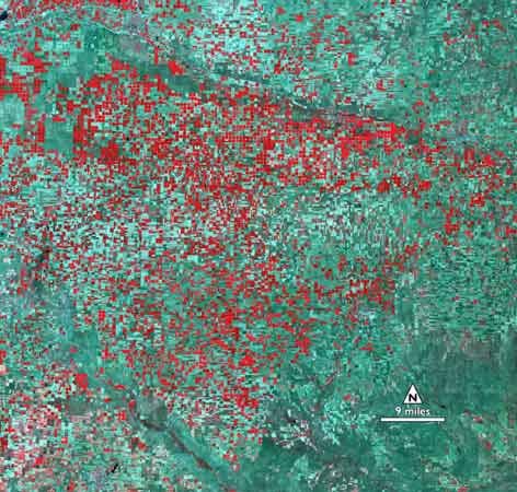 Wasserstandsmeldung aus Kansas: Wie sich die Bewässerung in der Landwirtschaft im US-Bundestaat Kansas verändert, haben "Landsat 1" und "Landsat 5" beobachtet. Die roten Flecken auf dem Bild zeigen gesunde Vegetation, Brachen sind türkis.