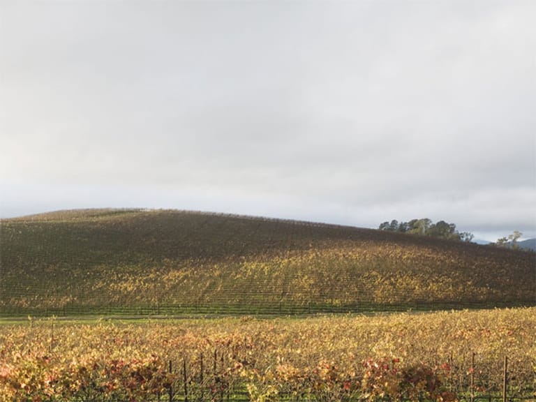 Der Windows-XP-Hügel in der Nähe von Sonoma Valley aufgenommen im November 2006.