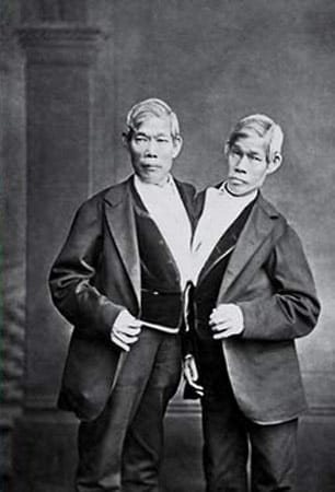 Später wanderte das Brüderpaar in die USA aus. Dort heirateten sie die Schwestern Adelaide und Sarah Yates, mit denen sie zusammen 21 Kinder hatten. Chang und Eng Bunker starben 1874 innerhalb weniger Stunden im Alter von 63 Jahren.