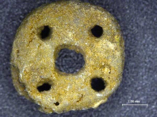 Steinzeitschmuck: Die kleine, fünffach durchbohrte Perle aus Sandstein ist bislang ein Unikat. Sie stammt aus den mittelsteinzeitlichen Schichten vom Vorplatz der Blätterhöhle. Sie wurde in der Nähe einer Feuerstelle entdeckt, die aus der Zeit um 7300 v. Chr. stammt. Steinzeitschmuck: Die kleine, fünffach durchbohrte Perle aus Sandstein ist bislang ein Unikat. Sie stammt aus den mittelsteinzeitlichen Schichten vom Vorplatz der Blätterhöhle. Sie wurde in der Nähe einer Feuerstelle entdeckt, die aus der Zeit um 7300 v. Chr. stammt.