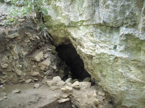 Eingang zur Blätterhöhle: Er ist erst zum Teil freigelegt, der Boden dürfte wesentlich tiefer liegen. Anhand des Baums auf der linken Seite ist erkennbar, dass das Erdreich und die Felsen den Höhleneingang beinahe vollständig verschlossen hatten. Eingang zur Blätterhöhle: Er ist erst zum Teil freigelegt, der Boden dürfte wesentlich tiefer liegen. Anhand des Baums auf der linken Seite ist erkennbar, dass das Erdreich und die Felsen den Höhleneingang beinahe vollständig verschlossen hatten.