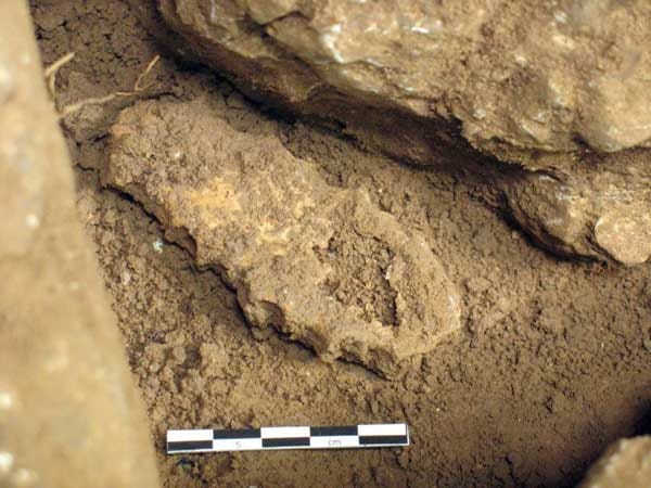 Menschliches Brustbein im Eingang der Blätterhöhle: Der gute Zustand des fragilen Knochens weist nach Meinung der Forscher auf die außergewöhnlich guten Erhaltungsbedingungen in der westfälischen Höhle hin. Menschliches Brustbein im Eingang der Blätterhöhle: Der gute Zustand des fragilen Knochens weist nach Meinung der Forscher auf die außergewöhnlich guten Erhaltungsbedingungen in der westfälischen Höhle hin.