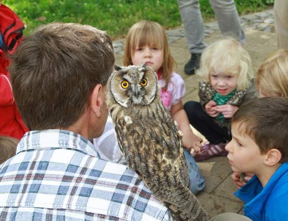 Ein Vogel als Publikumsmagnet: Kinder betrachten Eule Argus und hören Ziehvater Rennecke gebannt zu. Ein Vogel als Publikumsmagnet: Kinder betrachten Eule Argus und hören Ziehvater Rennecke gebannt zu.