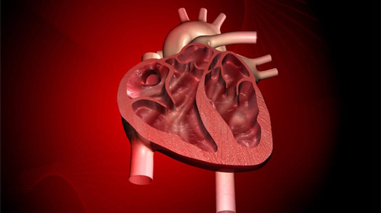 Bereits eine banale Infektion kann zu einer Herzmuskelentzündung führen.
