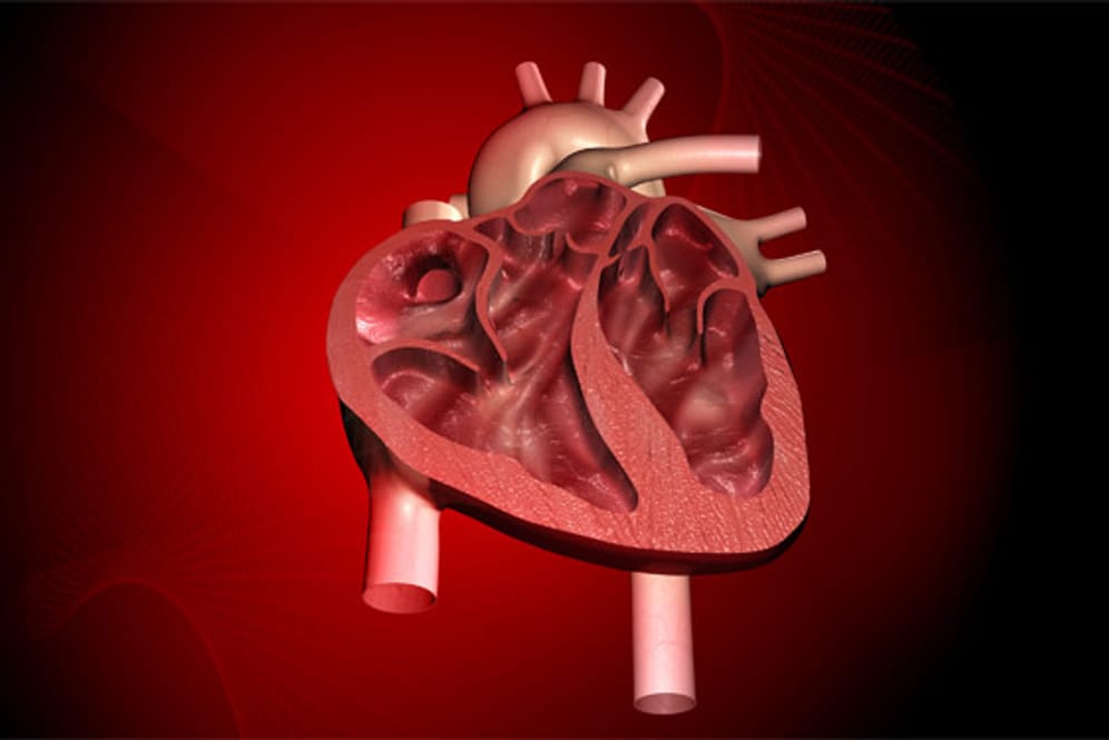 Bereits eine banale Infektion kann zu einer Herzmuskelentzündung führen.
