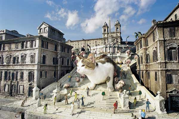 Da hat sich eine Katze auf die Spanische Treppe in Rom verlaufen.
