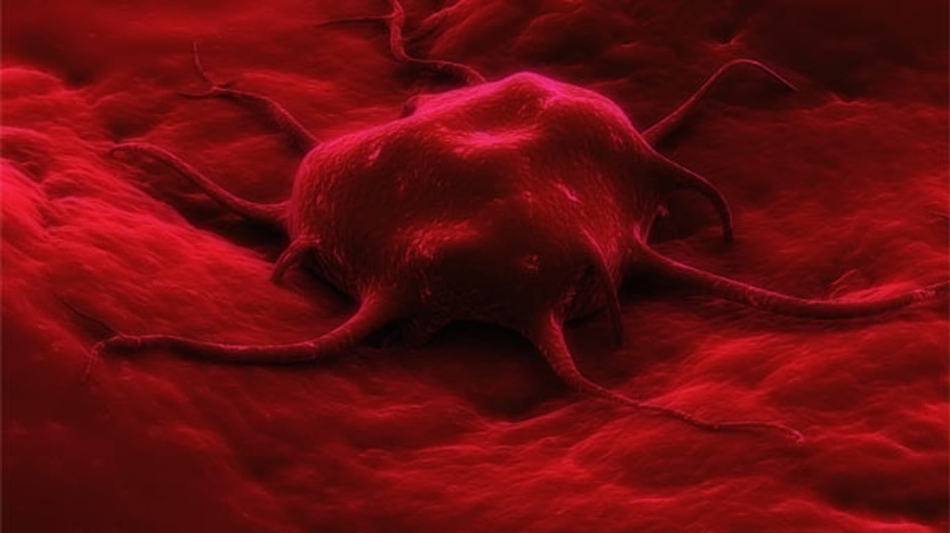 Chemotherapie kann laut Forschern Krebszellen beim Überleben helfen