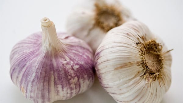 Knoblauch soll Infekte und Herz-Kreislauf-Erkrankungen vorbeugen.