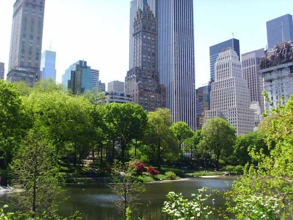 Der Central Park gilt als "Lunge New Yorks".