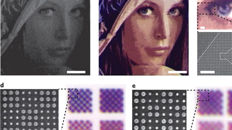 Lena im Mikroformat: Vor (a) und nach (b) dem Aufdampfen eines Silberfilms zeigt sich auf wenigen Mikrometern Breite oft zu Testzwecken verwendete Bild eines Playmates
