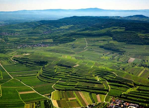 Durch viele Weinregionen führen attraktive Radwege - zum Beispiel im Schwarzwald.