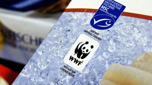 Eine einfache Orientierung sind die Labels des Marine Stewardship Council (MSC).