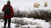 Eisbären beobachten kann man in der Gegend um Churchill in Kanadas Provinz Manitoba besonders gut.