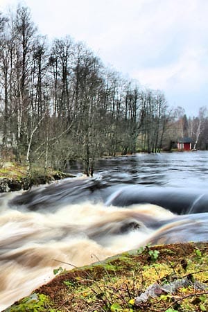 Fluss Emån in Schweden: Beliebt bei Anglern.
