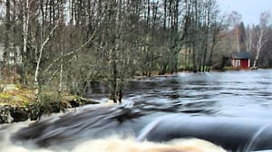 Fluss Emån in Schweden: Beliebt bei Anglern.