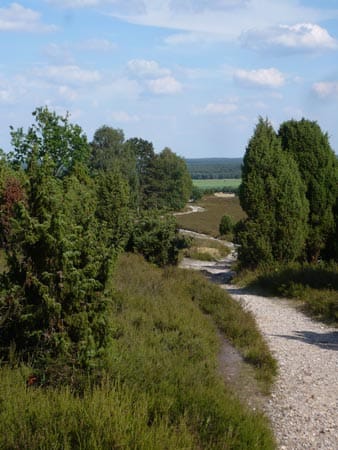 Auf 223 Kilometern führt der neue Qualitäts-Wanderweg durch die Heide von Hamburg-Fischbek bis nach Celle.
