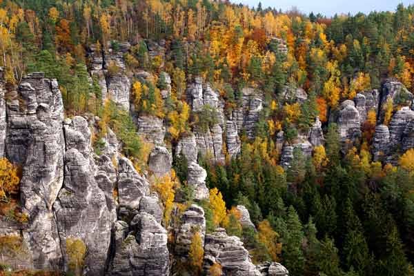Die Laubfärbung des Waldes im Herbst verleiht der Landschaft eine besondere Note.