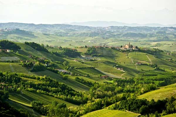 Seine gehaltvollen Rotweine haben das Piemont zum Dorado der Wein-Enthusiasten gemacht. Die beste Route führt durch die Region der Langhe, von Asti über Barbaresco, Alba und Dogliani nach Bra. Zur Belohnung bietet das Piemont im Herbst eine besondere Spezialität - die Trüffel.