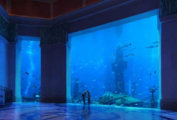 Rund 65000 Fische tummeln sich in der Ambassador Lagune und können den Atlantis-Gästen beim Schlafen zusehen - theoretisch, denn die Scheiben sind blickdicht - und natürlich von außen.