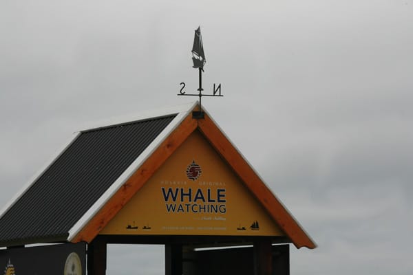 Auch Whale-Watching ist dort möglich.