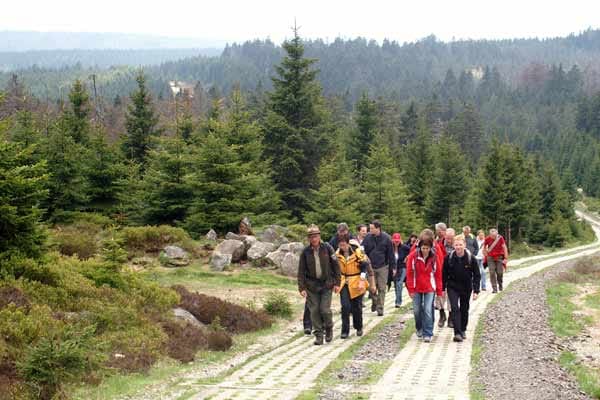 Der Nationalpark Harz bietet geführte Touren im Herbst an, die auch auf dem Kolonnenweg den Brocken hinauf führen.