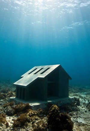 In verschiedenen Nischen sollen die Häuser Lebensraum für verschiedene Meeresbewohner bieten. Meeresbiologen entwickelten die Skulpturen mit.