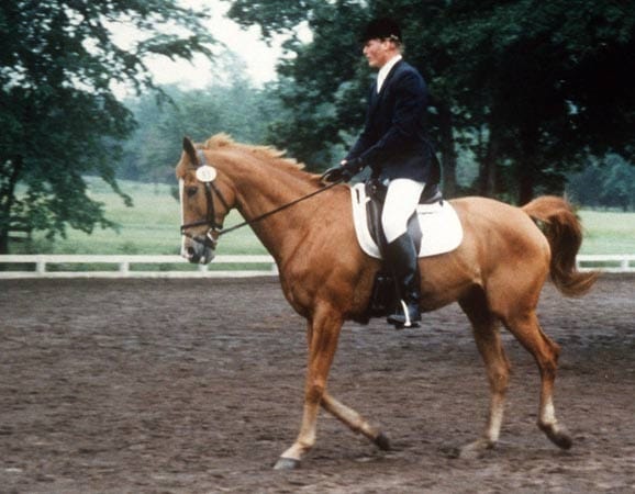 Dieses Bild zeigt Christopher Reeve kurz vor seinem verhängnisvollen Sturz von seinem Pferd "Eastern Express" am 27. Mai 1995.