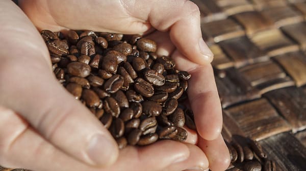 Nur beste Bohnen können einen perfekten Espresso hervorbringen. Bei seiner Zubereitung ist besonderes Fingerspitzengefühl angesagt: Die Mischung der Sorten Arabica und Robusta sorgt für die beliebte Crema, die italienische Röstung gibt den Bohnen das intensive Aroma und den typischen Farbton der Mönchskutte "tonaca di monaco".