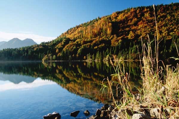 Herbstlicher Bergwald am Walchensee.
