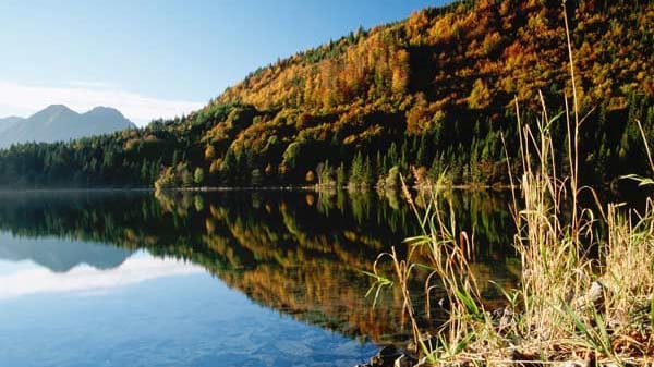 Herbstlicher Bergwald am Walchensee.