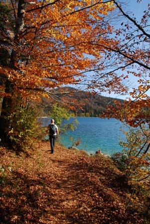 Wandern im Herbst im Werdenfelser Land: Walchensee.
