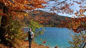 Wandern im Herbst im Werdenfelser Land: Walchensee.