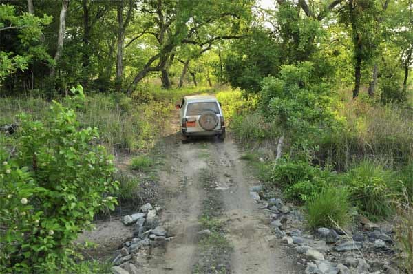 Safari-Fahrzeug in Zentralafrika, Kamerun.