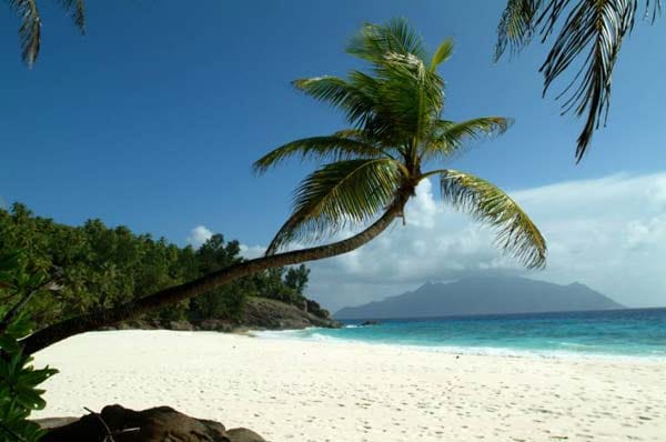 Eine andere Seychellen-Insel, das 2,5 Quadratkilometer große North Island, spielt ebenfalls in der Champions League der globalen Inselresorts.