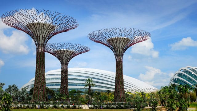 Singapur: Stahlbäume des "Gardens by the Bay"