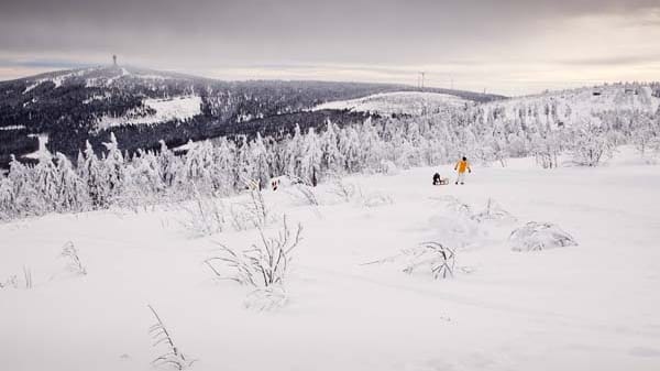 Superlative kann Oberwiesenthal schon heute vorweisen: Viel Schnee und und Deutschlands größte Halfpipe.